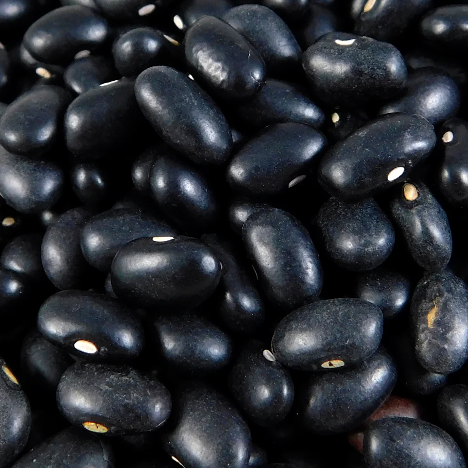 FRIJOL NEGRO COOPERATIVA